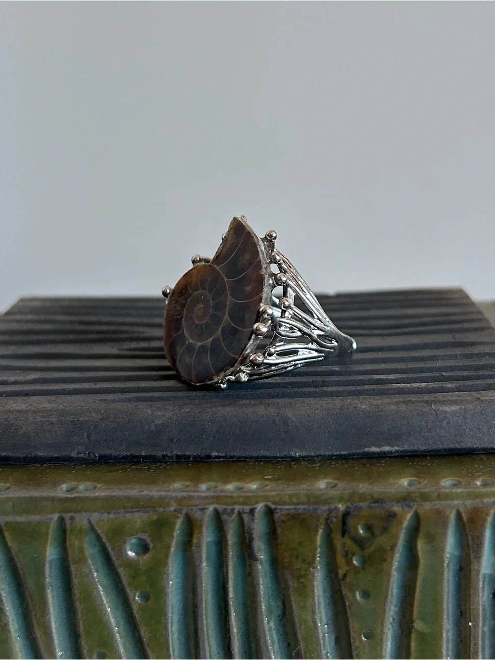 Handcrafted Brown Ammonite Shell Ring in Silver Setting